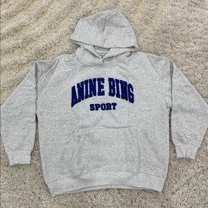Anine Bing Sport Grey Pullover Hoodie Blue Distressed Embroidery Size Large